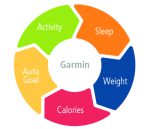 ترازوی هوشمند گارمین (Garmin Index Smart Scale) - Image 4