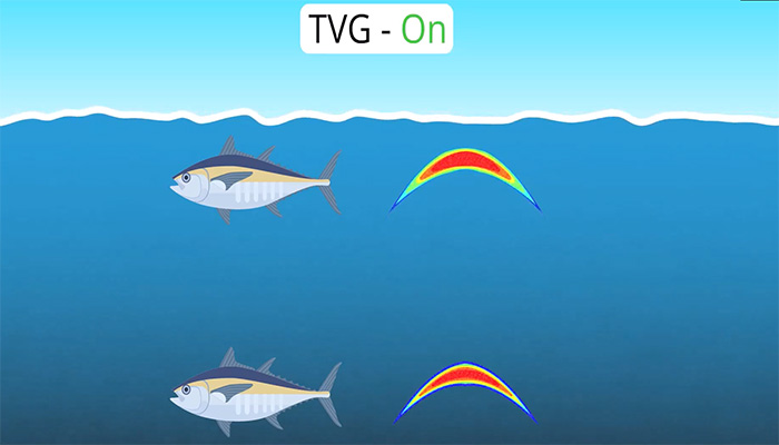 مشکل «عمق» و دلیل به‌وجود آمدن TVG