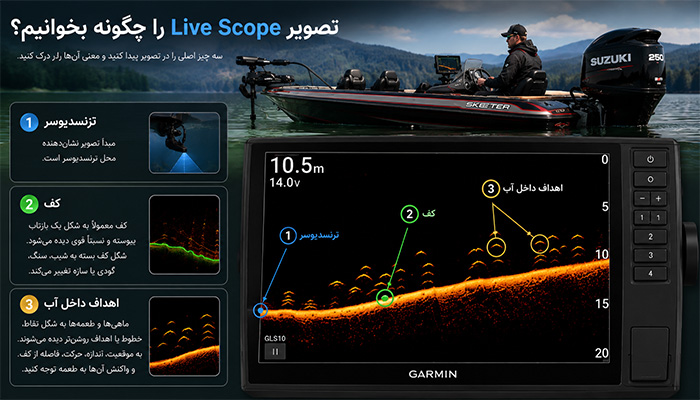 تصویر Live Scope را چگونه بخوانیم؟